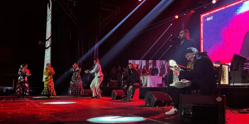 Permisos para organizar un concierto - Actuación de flamenco